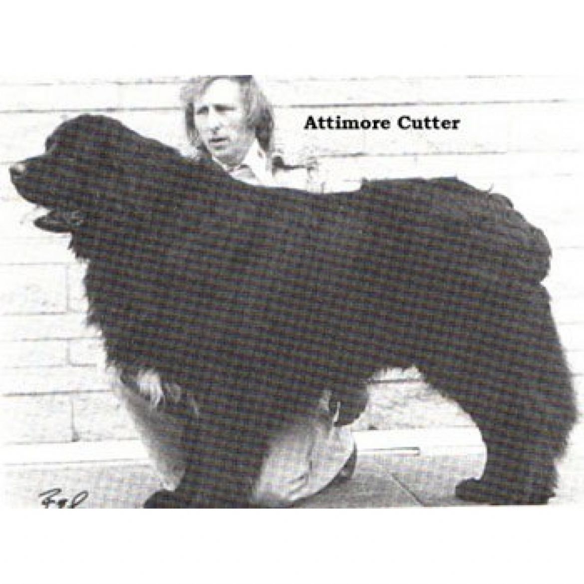 R Attimore Cutter (19-04-1975)